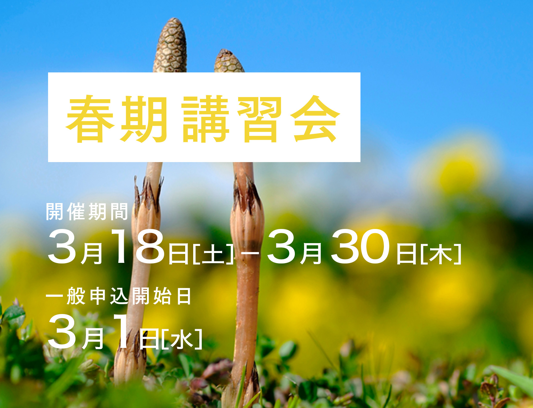 春期講習会