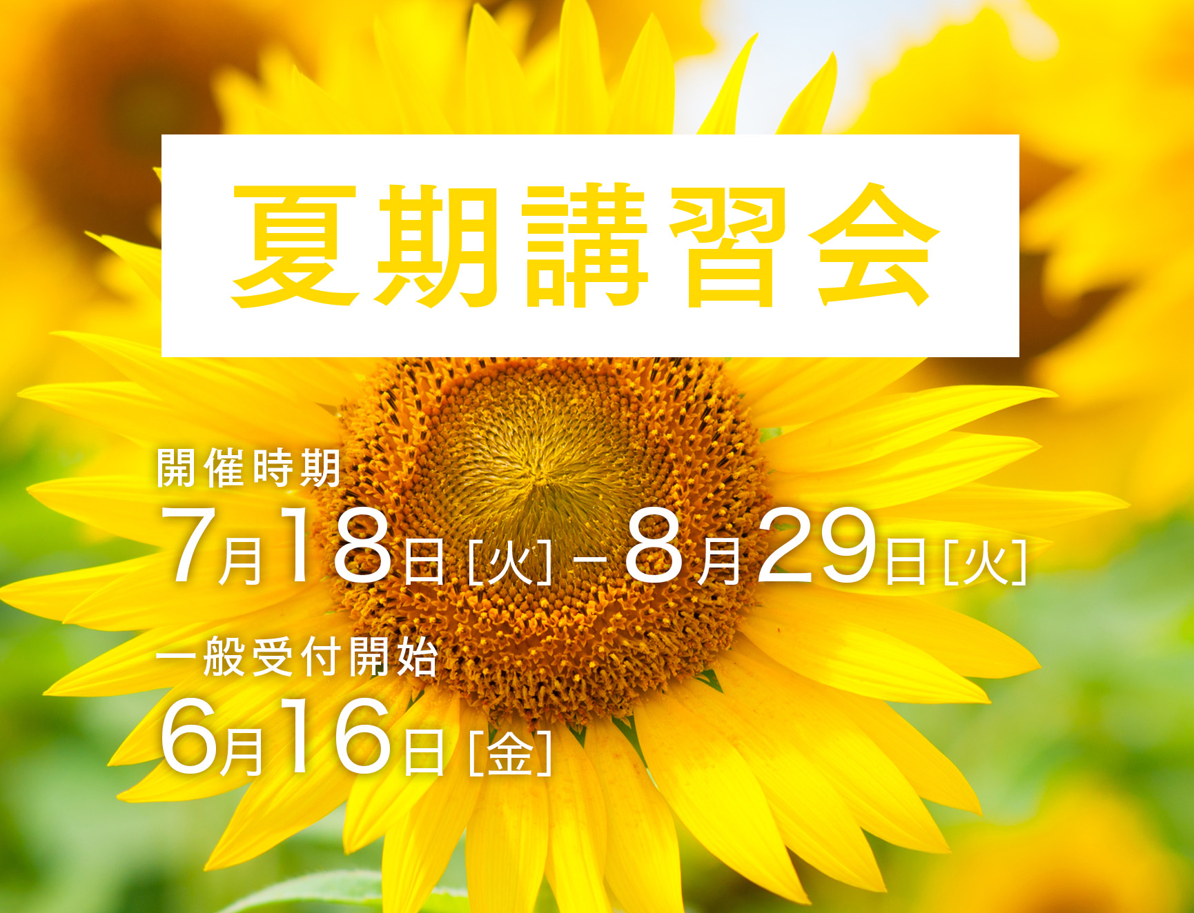 夏期講習会