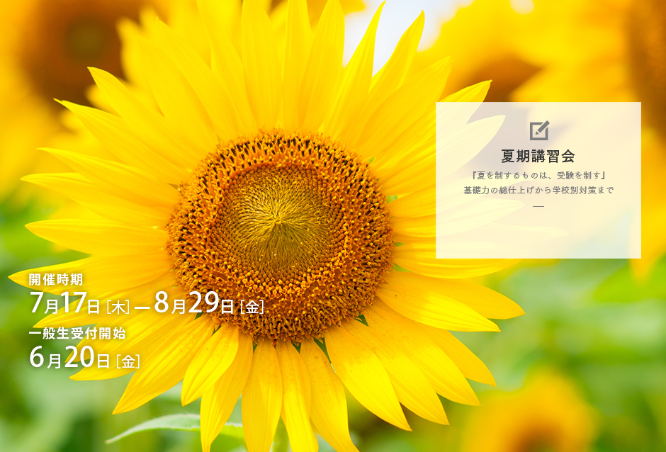 夏期講習会